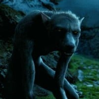 The Werewolf Lupin