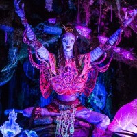 Na'vi River Journey (Disney's Animal Kingdom)