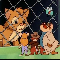 Catteries Not Included