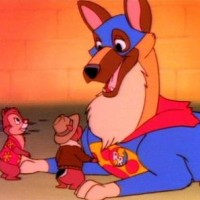 Flash the Wonder Dog