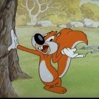 Screwy Squirrel - MGM Cartoons