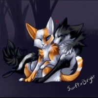 Brightheart x Swiftpaw