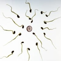 Out of 100,000 sperm, you were the fastest?