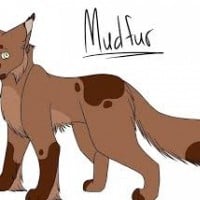 Mudfur