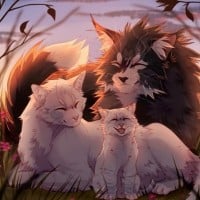 Snowfur x Thistleclaw