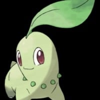 Chikorita
