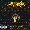 A Skeleton In the Closet - Anthrax