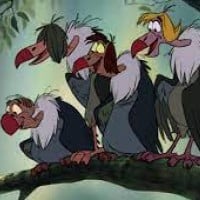 Buzzie, Flaps, Ziggy & Dizzy