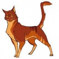 Redstar (SkyClan)