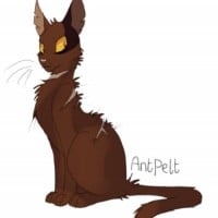 Antpelt