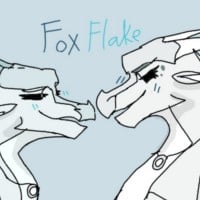 Snowflake x Snowfox