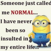 Minion Memes