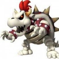 Dry Bowser