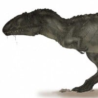 Carcharodontosaurus