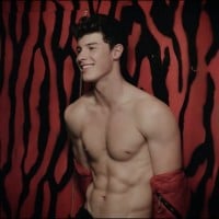 Shawn Mendes