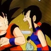 Goku & Chi Chi (Dragon Ball Z)