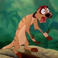 Timon (The Lion King)