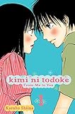 Kimi ni Todoke